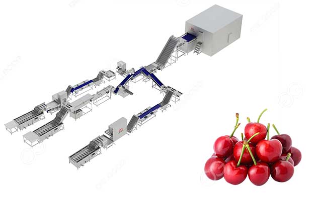freeze fresh cherries processing line