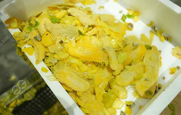 mango Crushing and Pulping