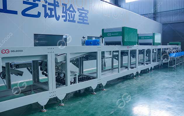 fruit grading machine manufacturer
