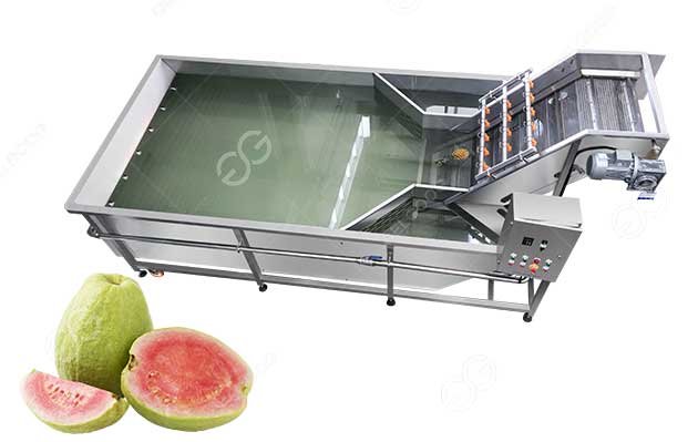guava washing machine