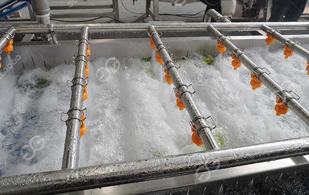guava washing equipment