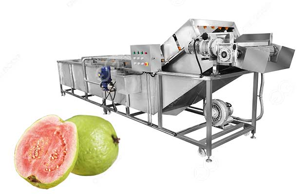 guava washing line