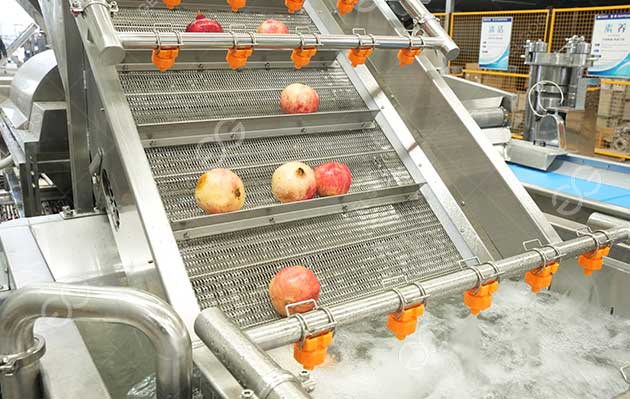 pomegranate cleaning machine