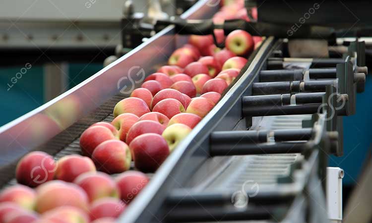 apple juice plant