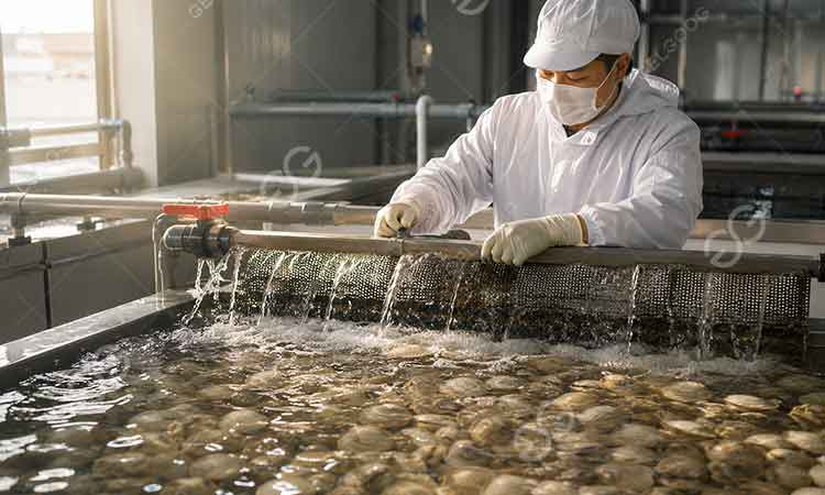 Oysters washing machine